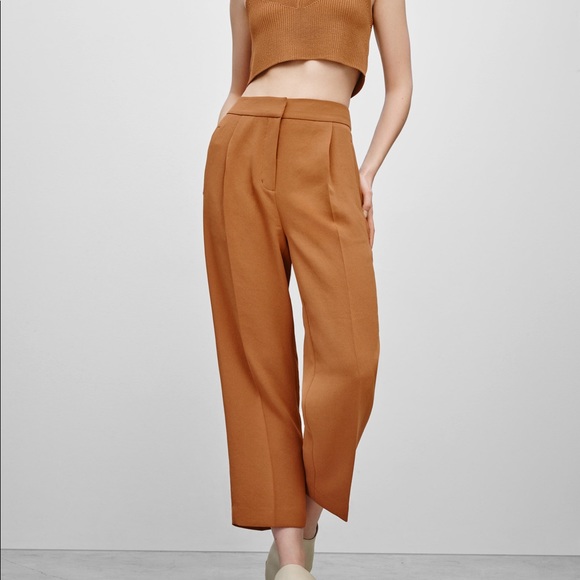 Aritzia Wilfred Pantalon Cauchy Pants